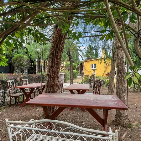 Villa Ma Lola Güimar